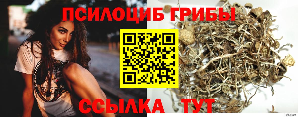 Тула  Галлюциногенные грибы прущие грибы  Псилоцибиновые грибы Magic Shrooms  Вход с VPN 