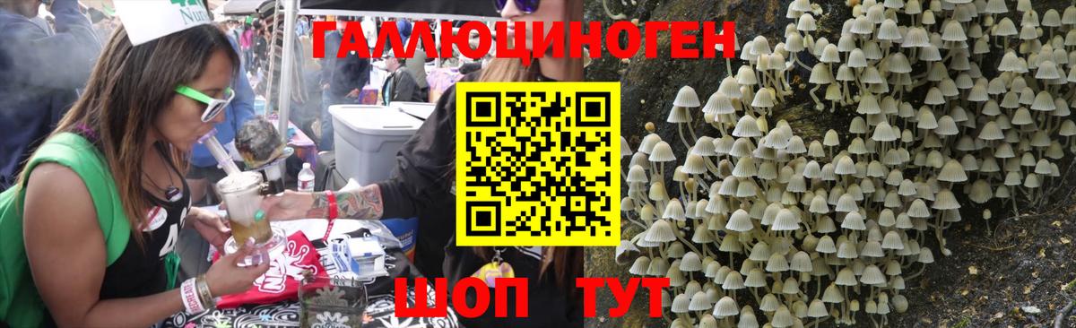 Галлюциногенные грибы Psilocybine cubensis Тула